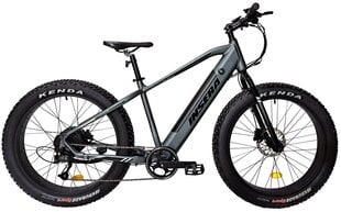 Электровелосипед Insera e-Muffle 9-V Bafang Rear 26", темно-серый цвет цена и информация | Электровелосипеды | kaup24.ee