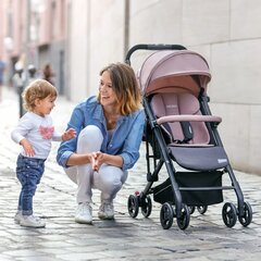 Vanker Recaro, Easylife Elite 2, mitmevärviline hind ja info | Vankrid, jalutuskärud | kaup24.ee