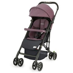 Vanker Recaro, Easylife Elite 2, mitmevärviline hind ja info | Vankrid, jalutuskärud | kaup24.ee