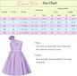 Kleit tüdrukutele Danna Belle, must цена и информация | Tüdrukute kleidid | kaup24.ee