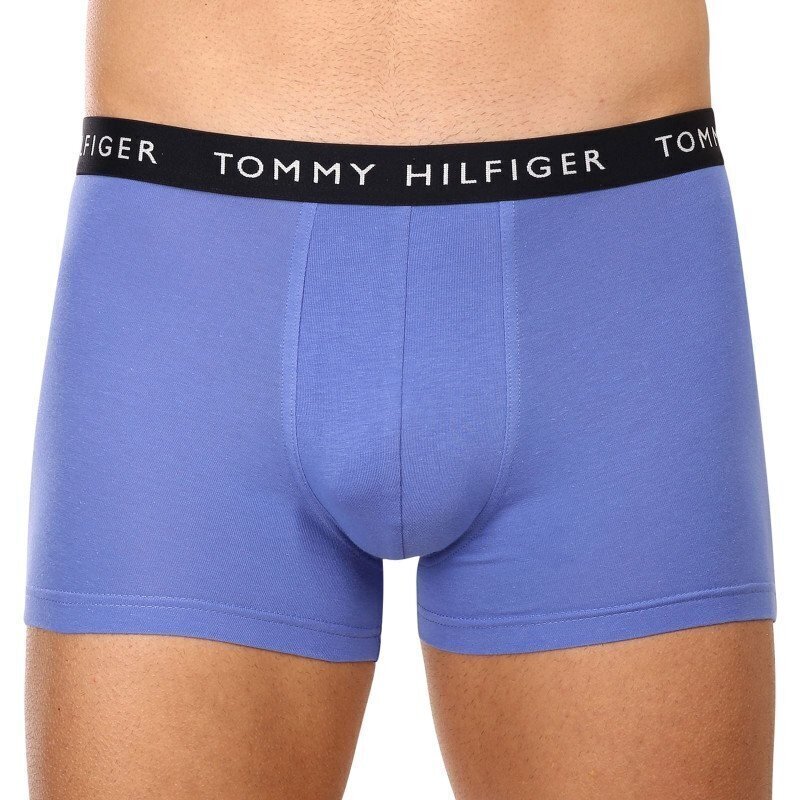 Tommy Hilfiger aluspüksid meestele 8720641945790, erinevad värvid, 3 tk hind ja info | Meeste aluspesu | kaup24.ee