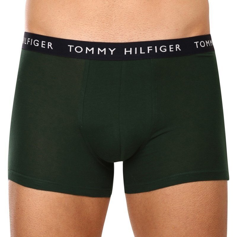 Tommy Hilfiger aluspüksid meestele 8720641945790, erinevad värvid, 3 tk hind ja info | Meeste aluspesu | kaup24.ee