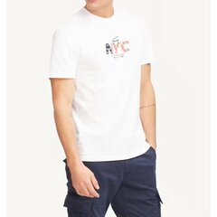 Tommy Jeans t-särk meestele 8719861949961, valge цена и информация | Мужские футболки | kaup24.ee