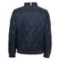 Tommy Hilfiger jope meestele 8720117590431, sinine hind ja info | Meeste joped | kaup24.ee