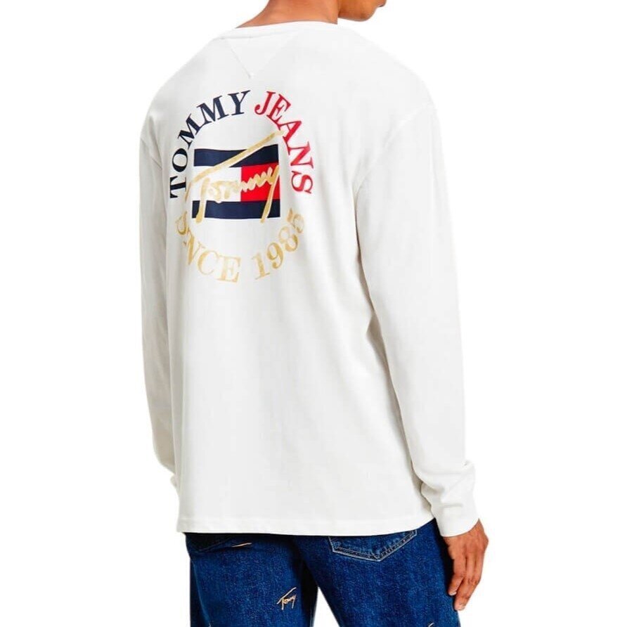 Tommy Jeans t-särk meestele 8720114960909, valge цена и информация | Meeste T-särgid | kaup24.ee