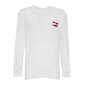 Tommy Jeans t-särk meestele 8720114960909, valge цена и информация | Meeste T-särgid | kaup24.ee