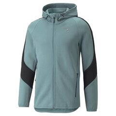 Мужской джемпер Puma 84740150, синий. цена и информация | Мужские толстовки | kaup24.ee