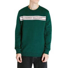 Мужской свитер Tommy Hilfiger 8720641938457, зеленый цена и информация | Мужские толстовки | kaup24.ee