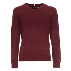 Мужской свитер Tommy Hilfiger 8720642005998, красный цена и информация | Мужские свитера | kaup24.ee