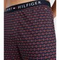 Tommy Hilfiger pidžaamapüksid meestele 8720641925686, sinine цена и информация | Meeste hommikumantlid, pidžaamad | kaup24.ee