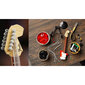 Fender Stratocaster Guitar Puzzle 3D hind ja info | Klotsid ja konstruktorid | kaup24.ee