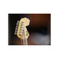 Fender Stratocaster Guitar Puzzle 3D hind ja info | Klotsid ja konstruktorid | kaup24.ee