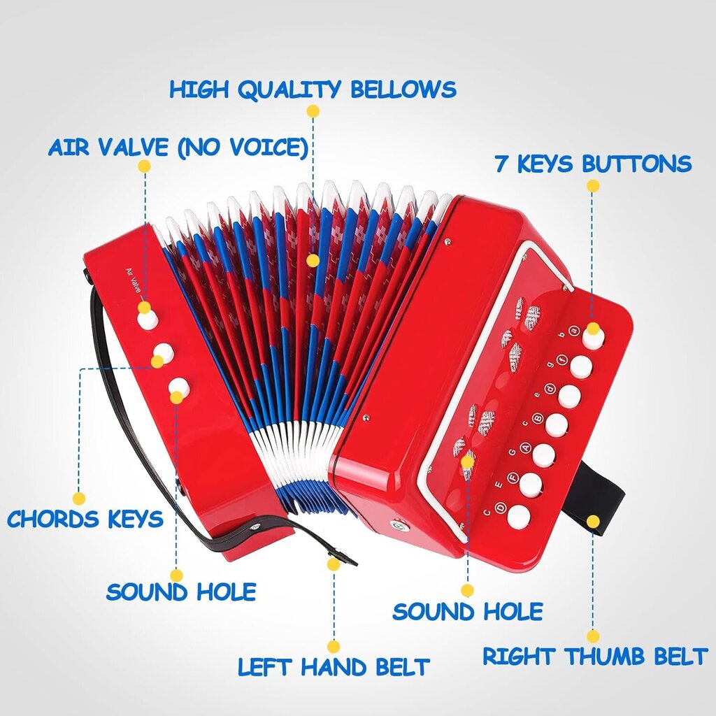 Laste mänguakordioon цена и информация | Arendavad mänguasjad | kaup24.ee