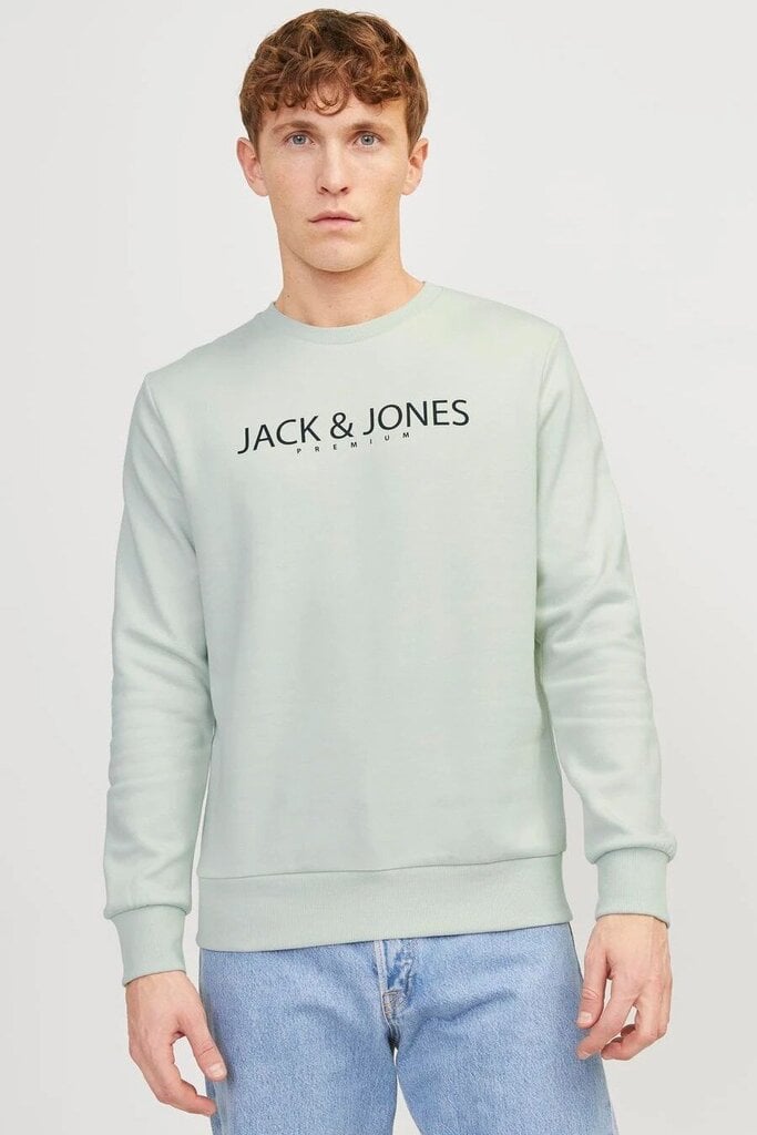 Dressipluus Jack & Jones цена и информация | Meeste kampsunid | kaup24.ee