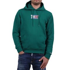 Джемпер Tommy Jeans для мужчин 8720641302074, зеленый цена и информация | Мужские толстовки | kaup24.ee