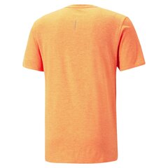 Мужская спортивная футболка Puma 52315122, оранжевая цена и информация | Мужская спортивная одежда | kaup24.ee