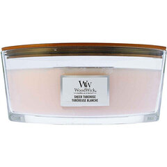 WoodWick Ellipse Sheer Tuberose lõhnaküünal 453,6 g hind ja info | Küünlad, küünlajalad | kaup24.ee