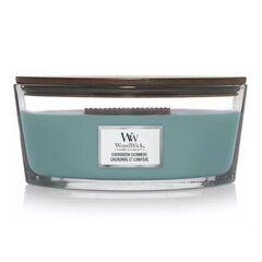WoodWicki lõhnaküünal Evergreen Cashmere 453,6 g hind ja info | Küünlad, küünlajalad | kaup24.ee