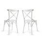 Komplektis 2 tooli Kalune Design Albero 19, valge цена и информация | Söögitoolid, baaritoolid | kaup24.ee