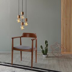 Обеденный стул Kalune Design Albero 43, коричневый цена и информация | Стулья для кухни и столовой | kaup24.ee