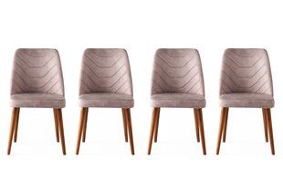 4 tooliga komplekt Kalune Design Dallas 555 V4, hall hind ja info | Söögilaua toolid, köögitoolid | kaup24.ee