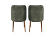 2 tooliga komplekt Kalune Design Dallas 558 V2, roheline цена и информация | Söögitoolid, baaritoolid | kaup24.ee