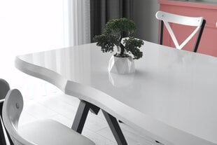 Обеденный стол Asir Efor 1411, белый/черный цена и информация | Кухонные и обеденные столы | kaup24.ee