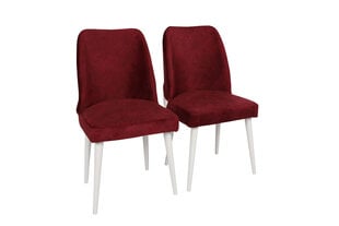 2 tooliga komplekt Kalune Design Nova 081 V2, punane hind ja info | Söögitoolid, baaritoolid | kaup24.ee