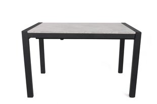 Обеденный стол Asir Silva - 1013, серый/черный цена и информация | Кухонные и обеденные столы | kaup24.ee