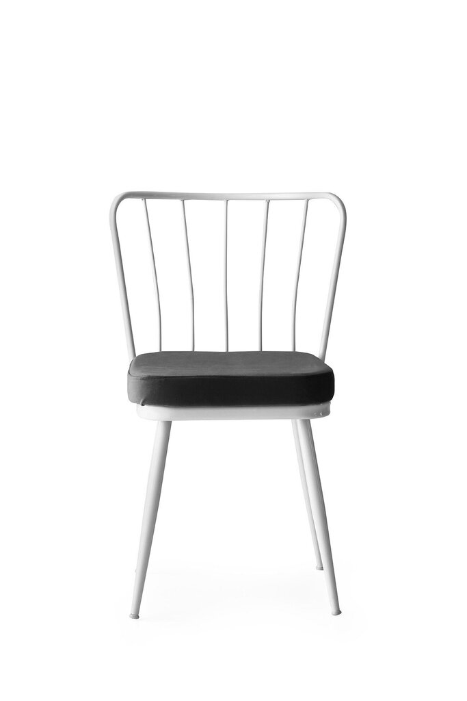 2 tooli Kalune Design Yildiz 962 V2, hall/valge, komplekt Kalune Design Yildiz 962 V2 hind ja info | Söögitoolid, baaritoolid | kaup24.ee