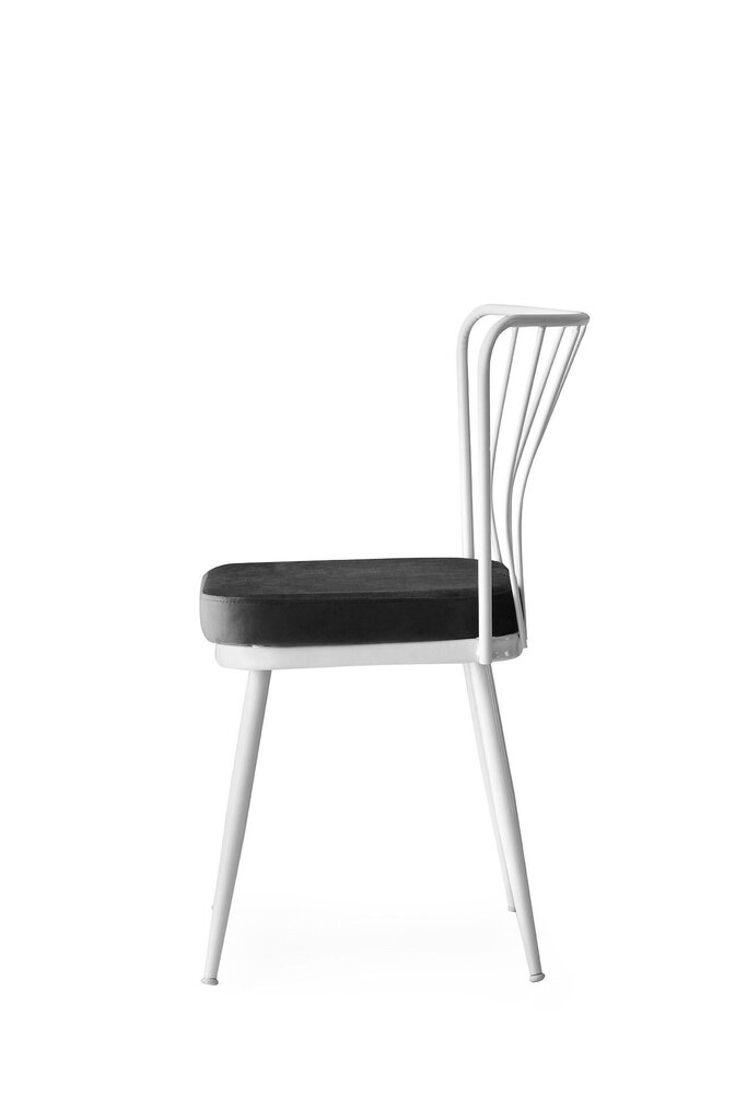 2 tooli Kalune Design Yildiz 962 V2, hall/valge, komplekt Kalune Design Yildiz 962 V2 hind ja info | Söögitoolid, baaritoolid | kaup24.ee