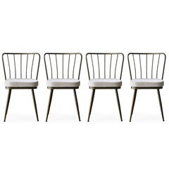 4 tooliga komplekt Kalune Design Yildiz 985 V4, valge/must hind ja info | Söögilaua toolid, köögitoolid | kaup24.ee