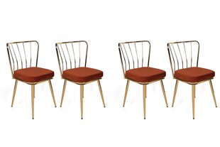 4 tooliga komplekt Kalune Design Yildiz 924 V4, oranž hind ja info | Söögitoolid, baaritoolid | kaup24.ee