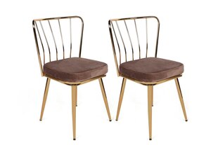 комплект из 2 стульев Kalune Design Yildiz 927 V2, коричневый/золотой цена и информация | Стулья для кухни и столовой | kaup24.ee