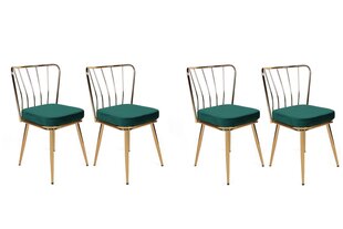 Комплект из 4 стульев Kalune Design Yildiz 930 V4, зеленый цена и информация | Стулья для кухни и столовой | kaup24.ee