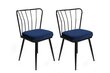 2-tooliline komplekt Kalune Design Yildiz 944 V2, sinine/must hind ja info | Söögitoolid, baaritoolid | kaup24.ee