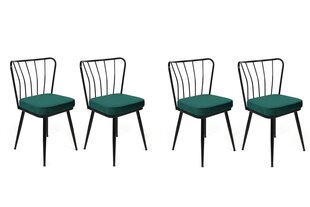 4 tooli komplekt Kalune Design Yildiz 951 V4, roheline/must hind ja info | Söögitoolid, baaritoolid | kaup24.ee