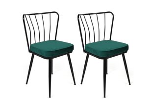 4 tooli komplekt Kalune Design Yildiz 951 V4, roheline/must hind ja info | Söögilaua toolid, köögitoolid | kaup24.ee