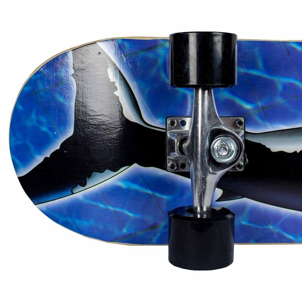 Sandbar Skateboard Shark 31X8 hind ja info | Rulad | kaup24.ee