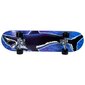 Sandbar Skateboard Shark 31X8 hind ja info | Rulad | kaup24.ee