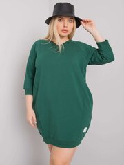Kleit naistele Relevance 57251, roheline hind ja info | Kleidid | kaup24.ee