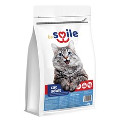 Besmile Cat 2kg toit täiskasvanud kassidele hind ja info | Kuivtoit kassidele | kaup24.ee