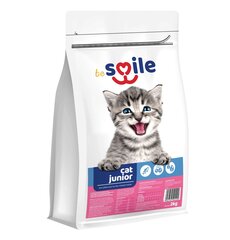 Besmile Cat-Cat Junior 800G toit hind ja info | Kuivtoit kassidele | kaup24.ee