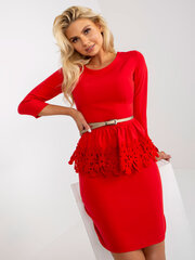 Kleit naistele Variant, punane hind ja info | Kleidid | kaup24.ee