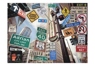 Fototapeet - NYC signs on a coloured background цена и информация | Фотообои | kaup24.ee