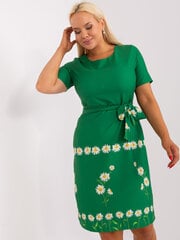 Kleit naistele Lakerta, roheline hind ja info | Kleidid | kaup24.ee