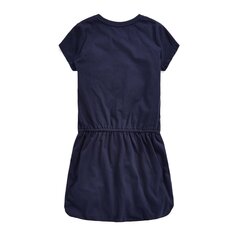 Kleit naistele Polo Ralph Lauren, sinine hind ja info | Kleidid | kaup24.ee
