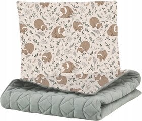 Babymam laste tekk ja padi, 100x75 cm/35x30 cm цена и информация | Детское постельное бельё | kaup24.ee