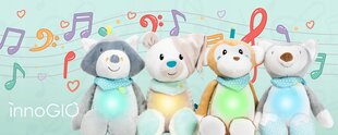Интерактивная плюшевая игрушка InnoGIO Giofriends Mateo цена и информация | Игрушки для малышей | kaup24.ee