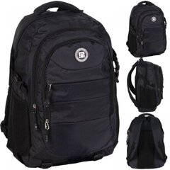 Рюкзак школьный Paso, черный, 30 л цена и информация | Школьные рюкзаки, спортивные сумки | kaup24.ee